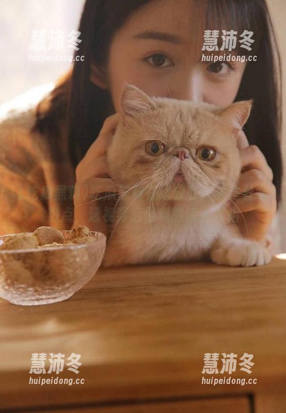 吃瓜黑料 吃瓜黑料在线分享:关注社会热点,透视背后黑料的惊人真相