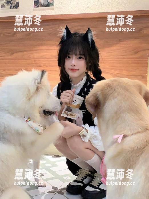 登录正能量黑料社，不打烊的八卦让你乐不停